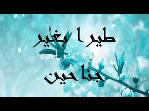 الدنيا ريشة في هوا .. أغنية من الزمن الجميل روووووعة