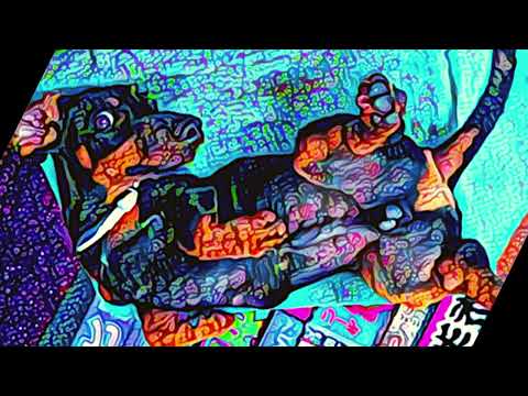 SET SÓ PEDRADA NO OUVIDO VOL  1   FRITAR A MENTE!!!