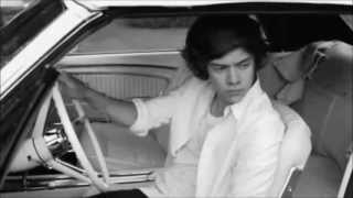 Don't Let Me Go - Harry Styles Fanfiction Trailer (movellas.dk)