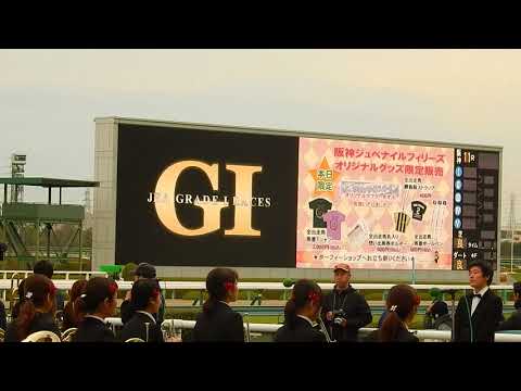 競馬2017阪神ジュフナイルフィリーズ/レース前演出映像とファンファーレ生演奏(2017.12.10)