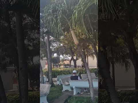 Ciudad de Las Tunas, centro de la Ciudad.