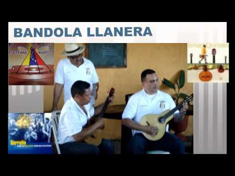 Hector Hernandez Maestro de Bandola Llanera por Pedro Borrero