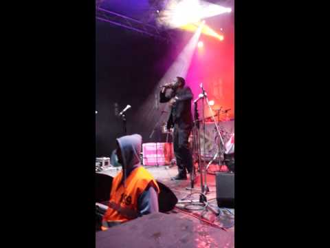 Korexion live in Novi Sad, Serbia, Exit Festival 2014
