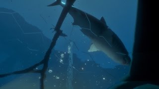 Iron Fish ★ GAMEPLAY ★ GEFORCE 1070