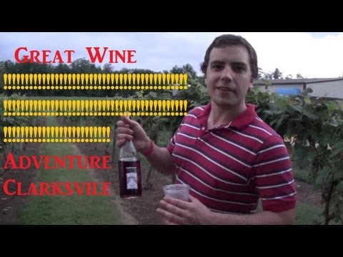 Jazz on the Lawn - Adventure Clarksville