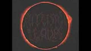 Autumn Leaves - The Discovery