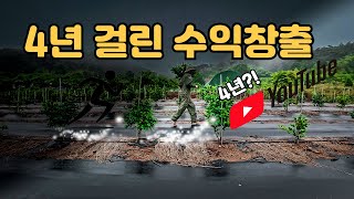 유튜브 초보가 4년만에 수익창출한 방법(현실 후기) 일반인이 수익창출하기 어려운 이유 ????