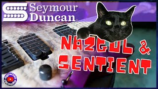 Video thumbnail for Seymour Duncan Nazgul & Sentient Pickups Review and Demo | Modern Metal Tone by digital360