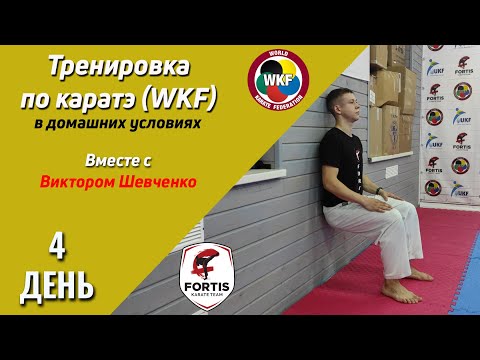 Тренировка по каратэ (WKF) в домашних условиях / День 4 / FORTIS KARATE CLUB / Виктор Шевченко