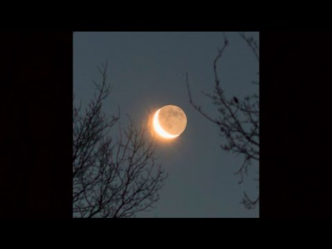 nes x népal type beat - "le code"