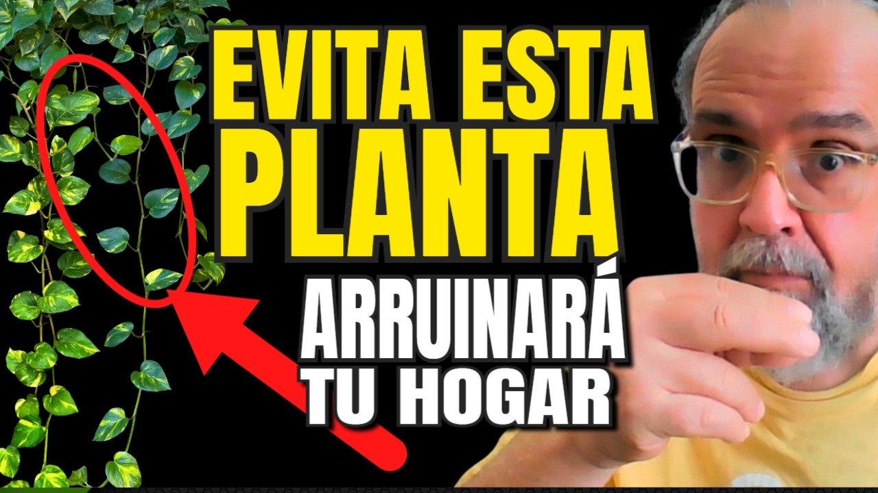 🌿💰 7 Plantas que Atraen Dinero a tu Casa Y Una Que Te Dará Pobreza🌟⚠️
