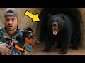 My Dogs Went In A Cave With A Bear