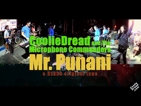 CDMC - Mr Punani (Live at IslandVibes 2016)