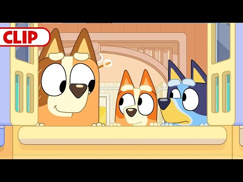 Bluey Season 3 Episode 32 "Tradies" Episode Clip | @disneyjr