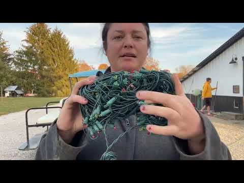 Why Everyone Chooses THESE Net Lights for Christmas 2025 🎁🎄