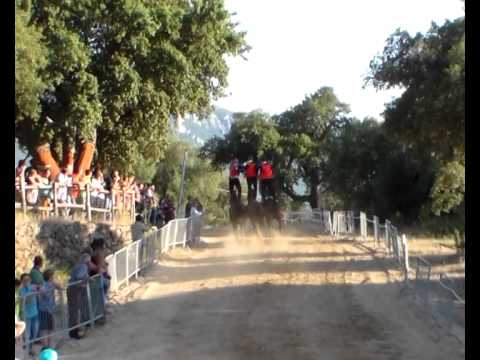 pariglie dorgali  esibizione pariglia di oliena 3 su 3 26.07 .2014