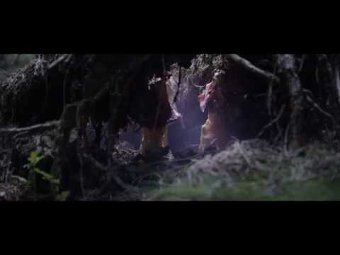 Steven Dark in The Mushroom Picker's Daughter