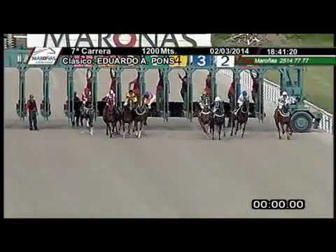 Jockey José Luis Alonso