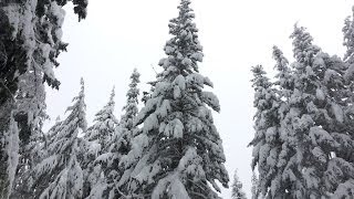 preview picture of video 'Snowshoeing at Mirror Lake, Mt Hood Oregon'
