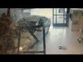 Car Crashes Through Grocery Store