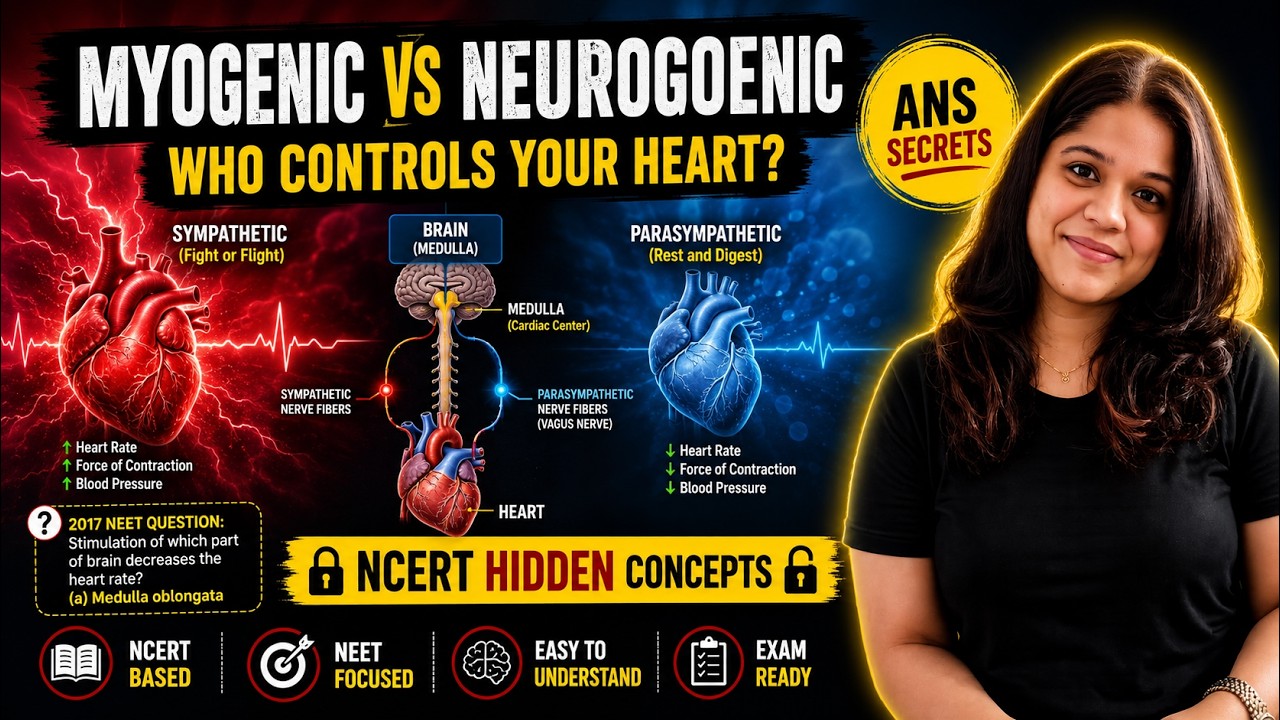Regulation of Cardiac Activity: Unraveling the Heart's Intricate Control System