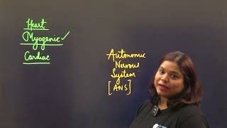 Regulation of Cardiac Activity: Unraveling the Heart's Intricate Control System