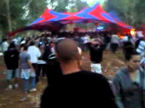 Psycho Cat Productions 19.11.2010