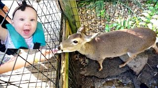 OUR TRIP TO THE ZOO!