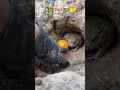 Kya Hai Ya Wait For The End Funny Funnycilpcomedyskits
