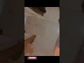Lap Dance Pro Max
