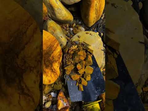 Gold bones, gold veins, gold roads, gold Gold nuggets,!!! #gold #panningforgold #mininggold