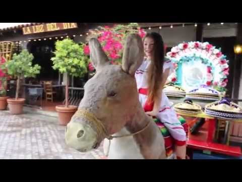 Mi Burrito Sabanero - Feliz Navidad - Official Video - Melody Kidder