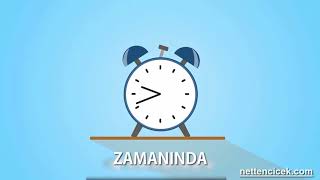 Nettencicek Tanıtım Animasyon