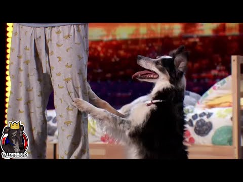 Adrian Stoica and Hurricane Full Performance & Comments | America's Got Talent 2023 Auditions W