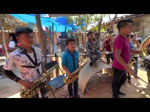 El burro loco SON LOS NIÑOS FENÓMENOS DEL MOMENTO este video de los niños merece ser viral 👌🎶