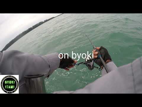 Byoki Itami byoki Jighead #pelagic #fishing #ultralight