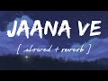 Jaana Ve Slowed Reverb Lofi Remix Arjit Singh Wild Waves