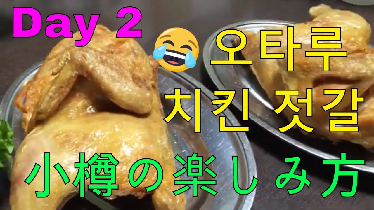 【#10투병일기/闘病日記】오타루와 후라노 100배 즐기기ㅣ小樽と富良野の楽しみ方