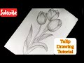 Easy Tulips Drawing For Beginners Flower Drawing