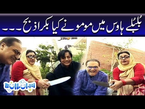 Momo Ne Kya Bakra Zibah | Nabeel | Bulbulay