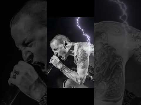 Zalmang banglel Ai cover