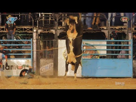 Rodeio de Rinópolis 2018 - SEXTA FEIRA / MELHORES TOUROS