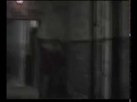 Hallelujah Cover - Roberto Bolle - Polina Semionova