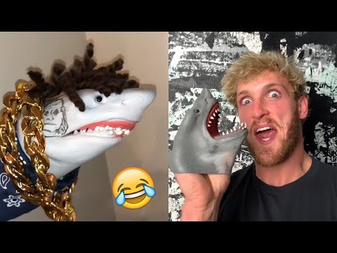 FUNNIEST Shark Puppet Videos Compilation - BEST Shark Puppet Vines and Instagram Videos