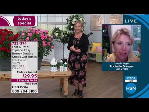 HSN | Your Best Backyard 05.19.2020 - 07 PM