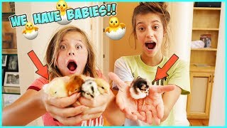 WE ARE TURNING OUR NEW HOUSE INTO A FARM!!