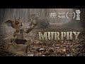 MURPHY (2014)