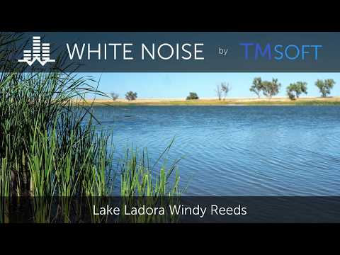 Lake Ladora Windy Reeds 10 Hour Sleep Sound - Black Screen