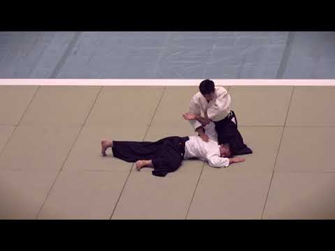 Ueshiba Mitsuteru, Dojo-cho Embu, 2018