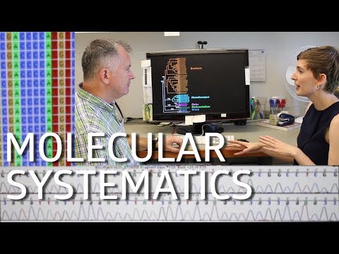 PCR & Molecular Systematics! Pt 2